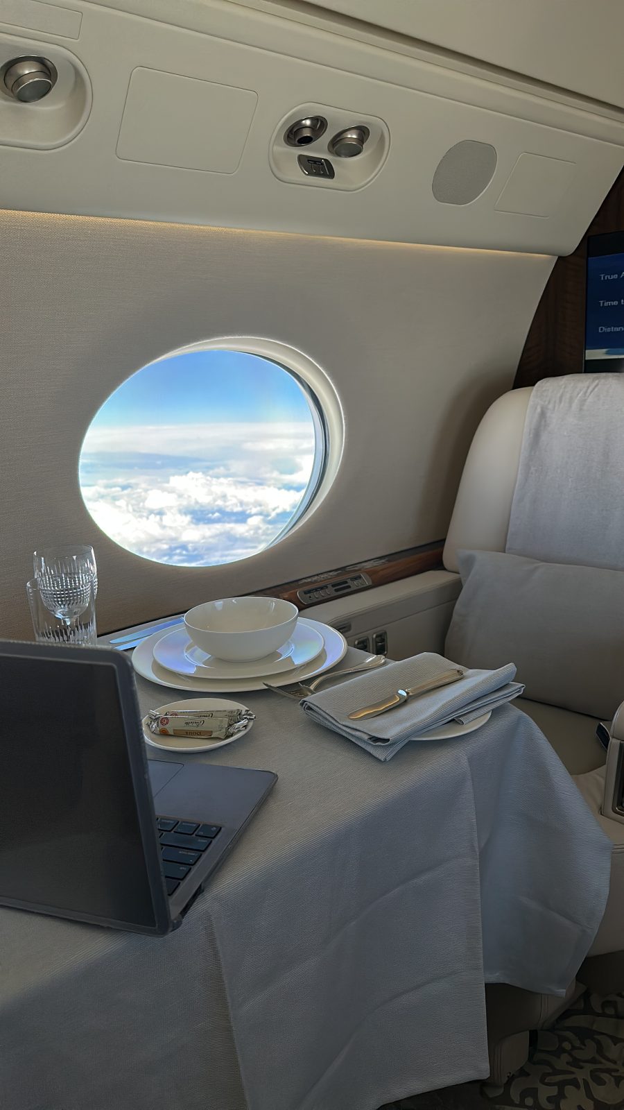 VIP Flight Attendant Advanced